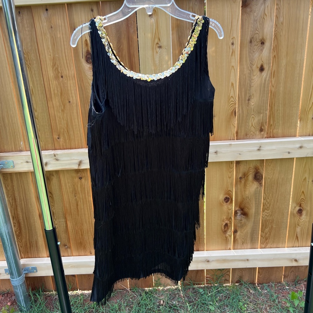 Flapper Costumes! - Picture 1 of 3